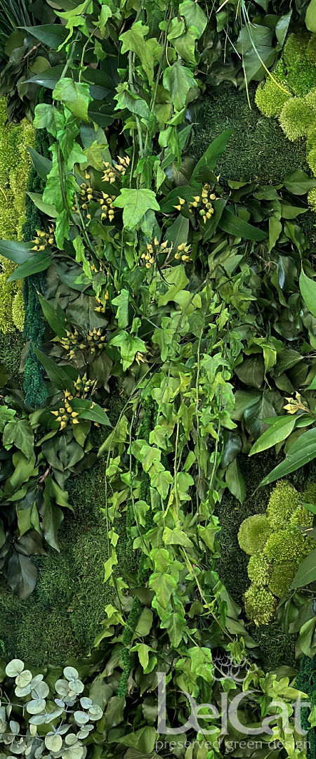 Preserved "Forest" Greenwall