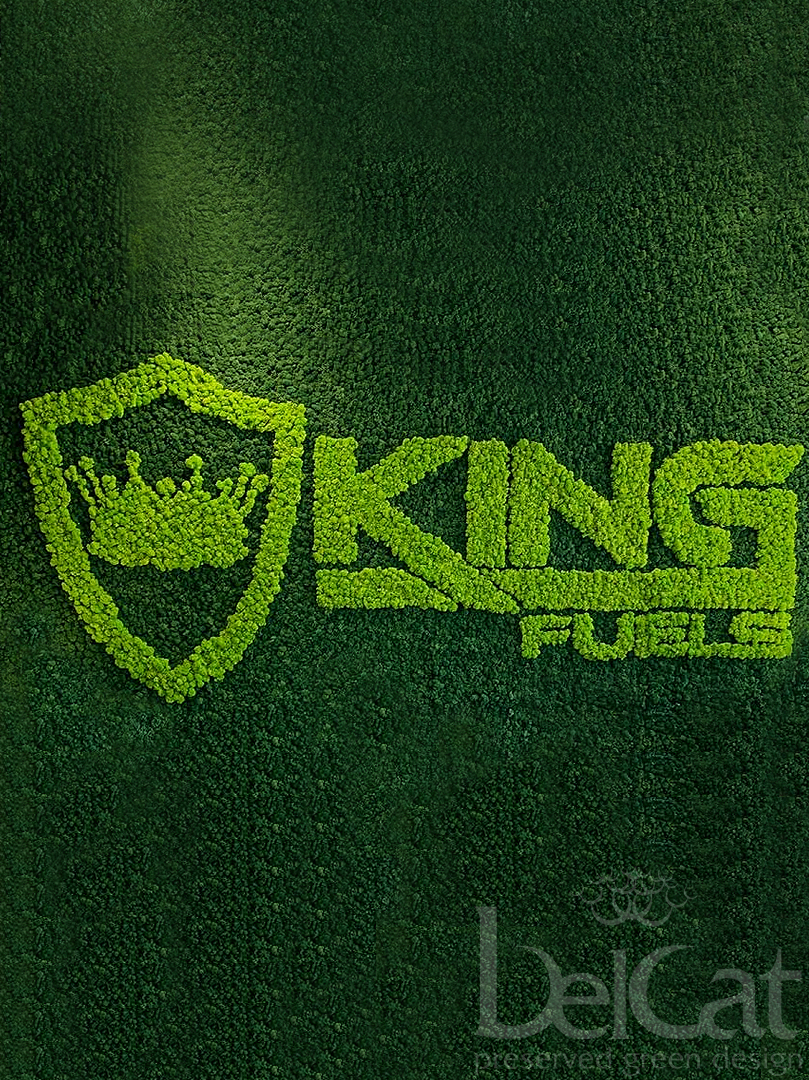 Lichen Full 3D Logos