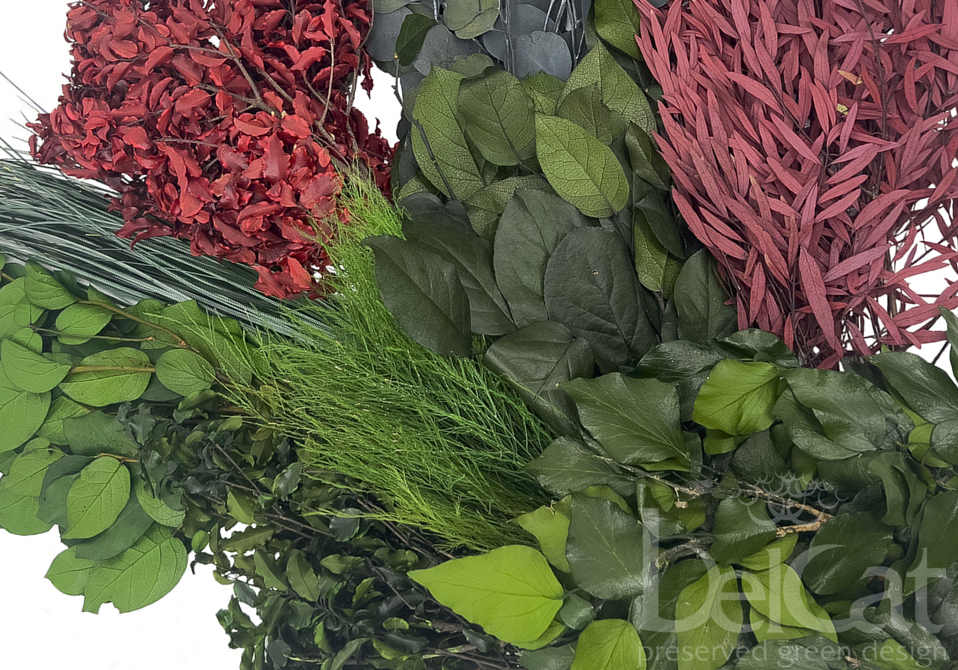 Preserved Green Materials