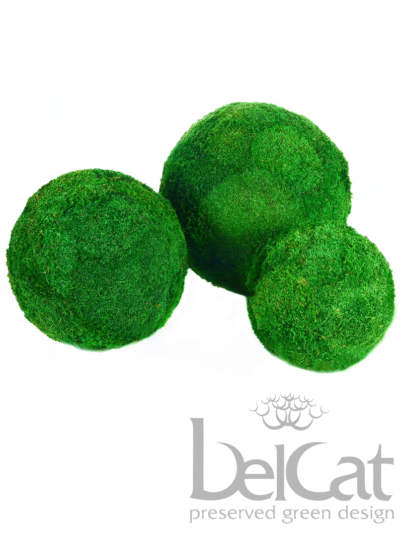 Flat Moss Sphere