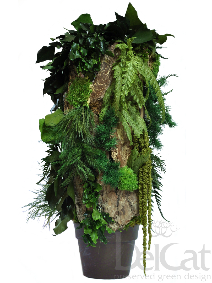 Totem Forest