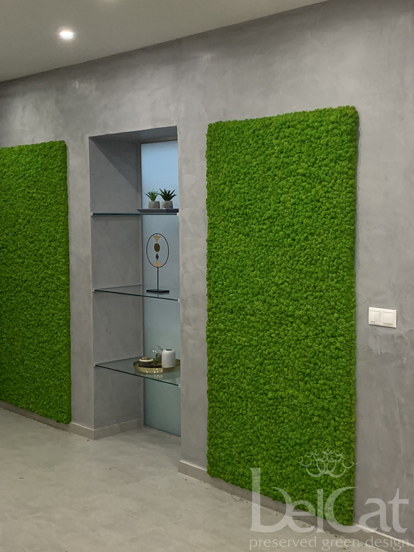 Preserved Lichen Wall