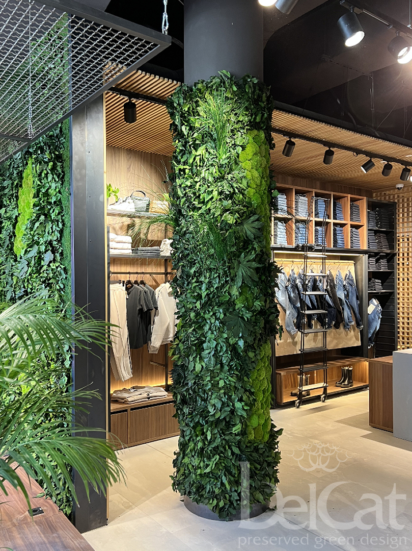 Preserved Mediterranean Greenwall
