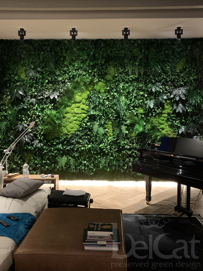 Preserved "Forest" Greenwall