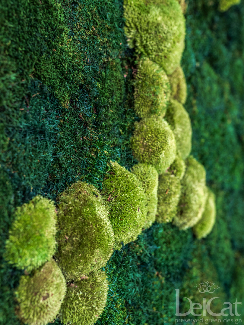Preserved "PUREMOSS" Greenwall
